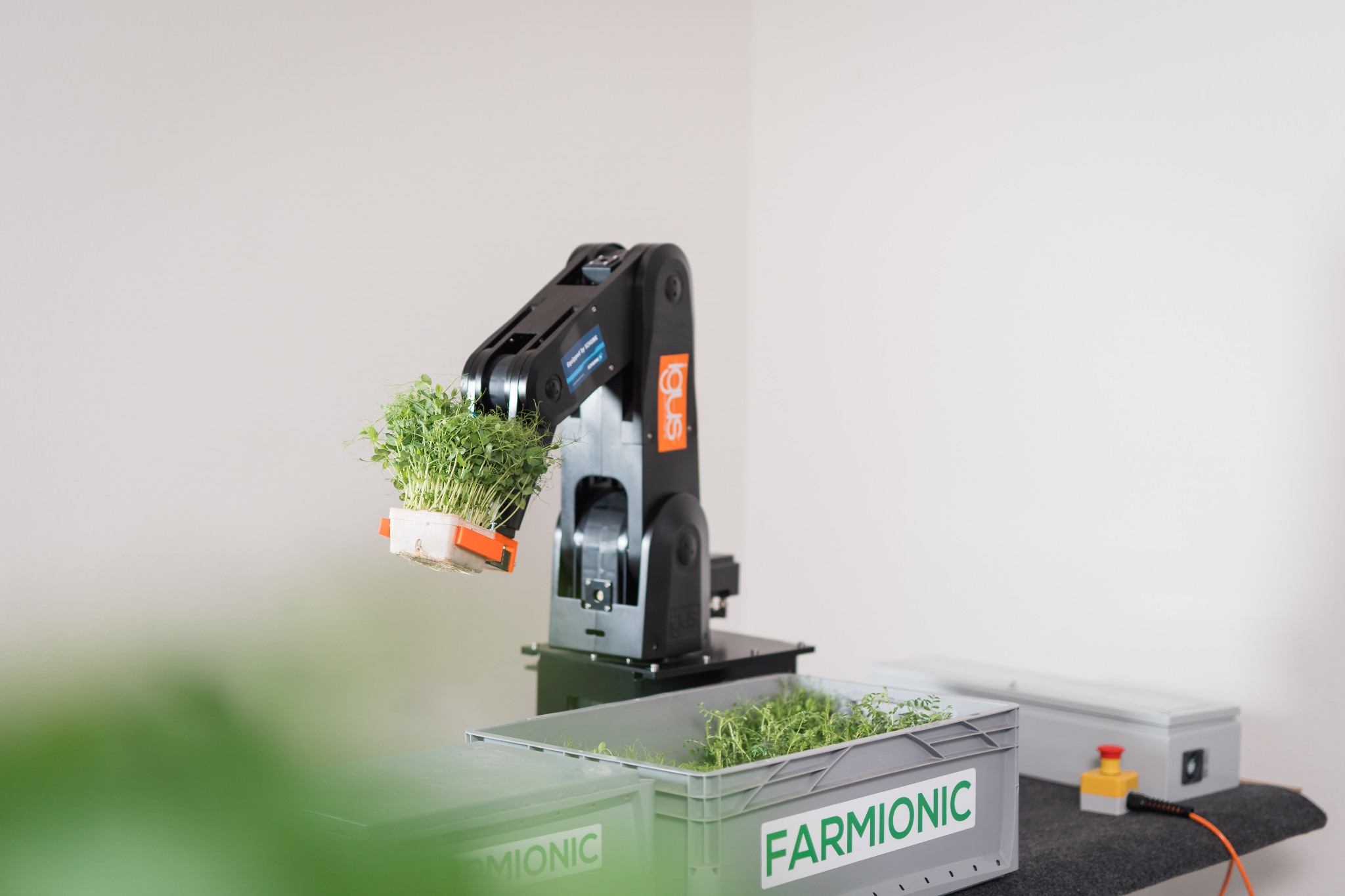 Gartenbot